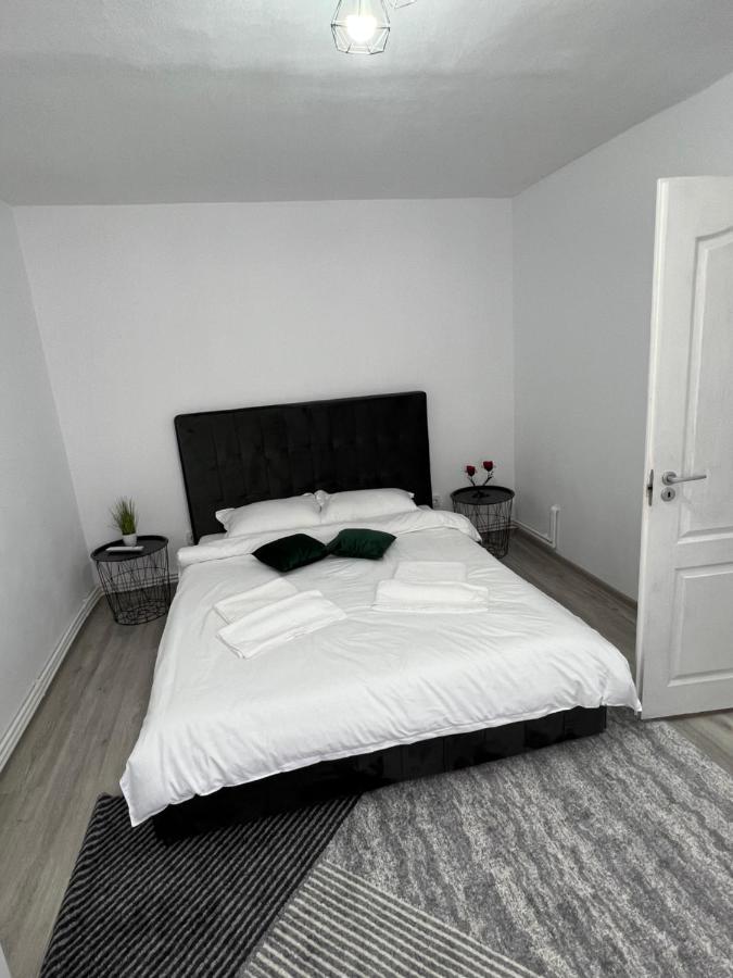 Apartmán Blue Alpin Straja Vulcan  Exteriér fotografie